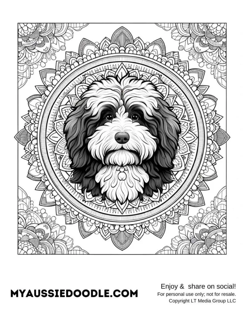 black and white aussiedoodle coloring page mandala